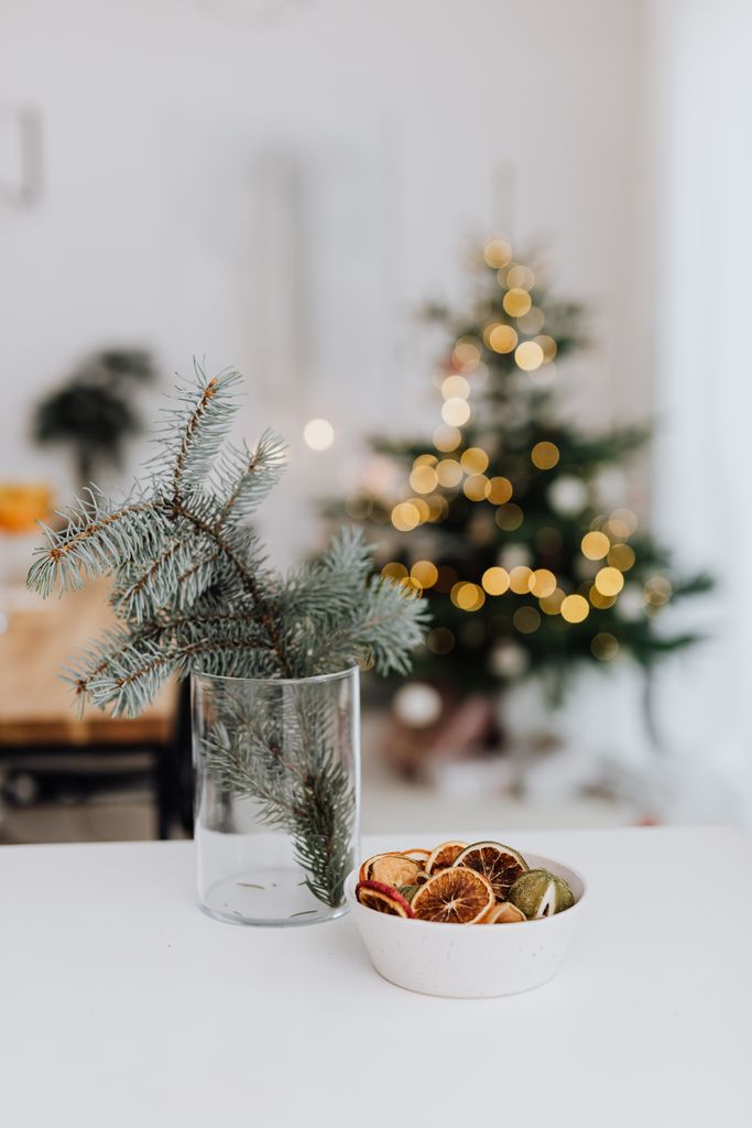 Cozy indoor Christmas setting with pine branch in glass and dried citrus slices.